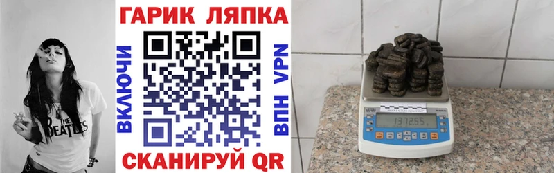ГАШ Premium  Инта 