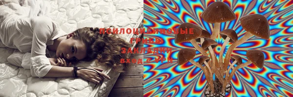 MDMA Premium VHQ Россошь