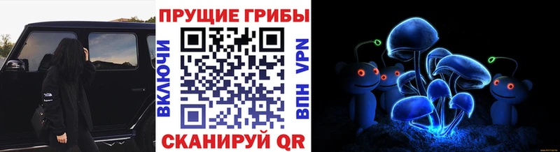 Галлюциногенные грибы прущие грибы  Инта 